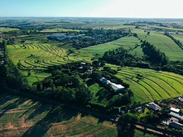 Agricultural Land