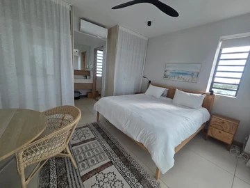 2 Bedroom Penthouse