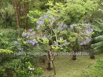Maison À Vendre – Rodrigues (Montagne Charlot / Soupir)