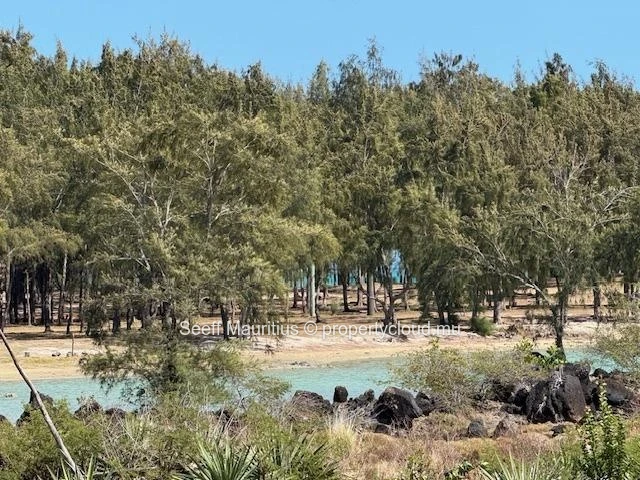 Rare opportunité – Terrain pieds dans l'eau sur un barachois