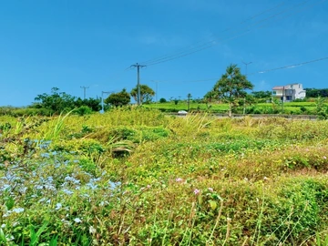 3,881,52 m² (91.52 perches) of Prime Land Ideal along M2 Motorway.
