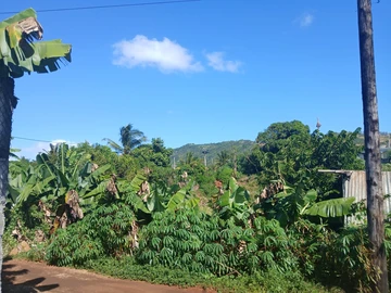 Agricultural Land