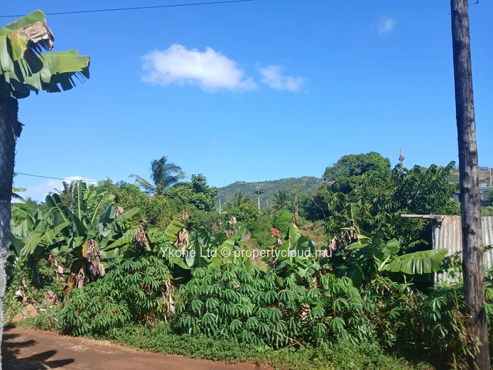 Agricultural Land For Sale In Bois Pignolet, Terre Rouge