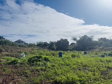 Terrain