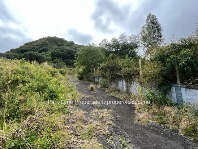 25 Acres of agricultural land with breathtaking views – Montagne Ory, Moka