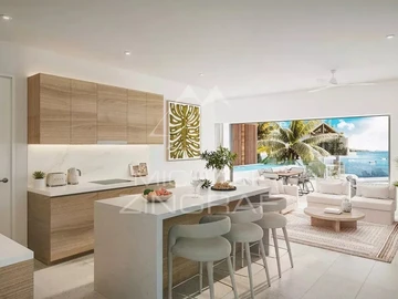 3 Bedroom Penthouse