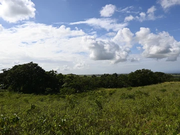 Terrain Agricole