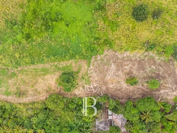 Residential Land