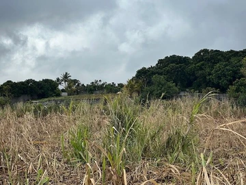 Terrain Agricole