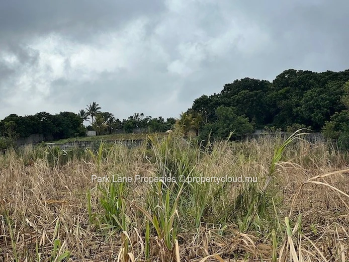 Transformative Potential: Trianon’s Agricultural Land Near Verdun Highway