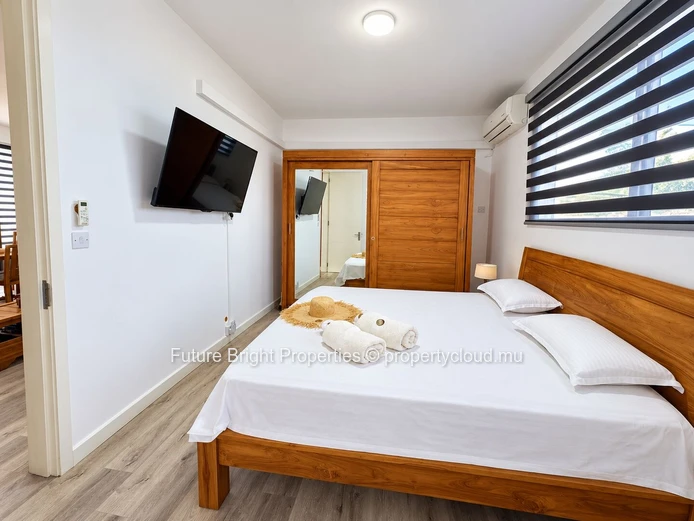 High end Spacious Furnished 3-Bedroom Apartment in Albion
