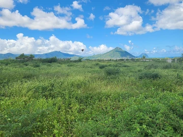Residential Land