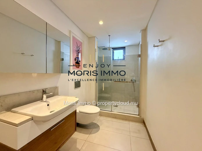 Appartement Penthouse à Mont Choisy