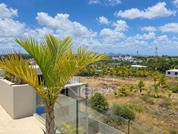 3 Bedroom Penthouse