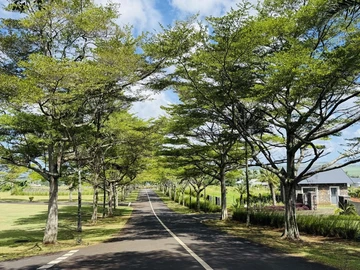 Land