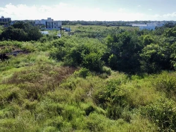 Land