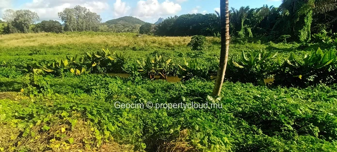 D'Epinay close to Pamplemousse Agricultural freehold plot of land 18572 sqm. River. Lichtis plantation. Water & Elect... (Sole Mandate)