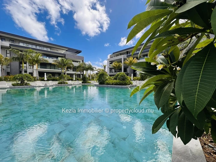 Contemporary Ground Floor Apartment