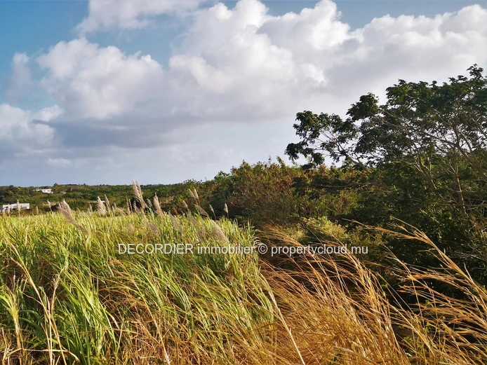 A vendre terrain agricole de 3.5 Arpents – Mont Mascal - Grand Baie