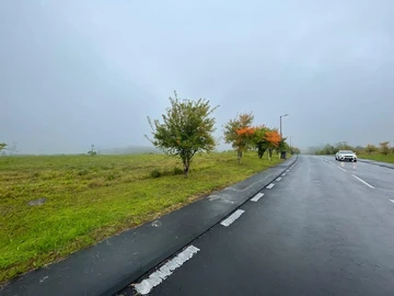 Residential Land