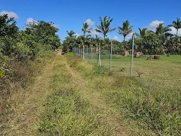 Agricultural Land