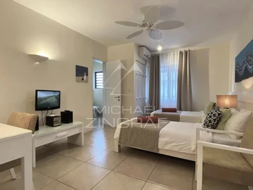 3 Bedroom Penthouse