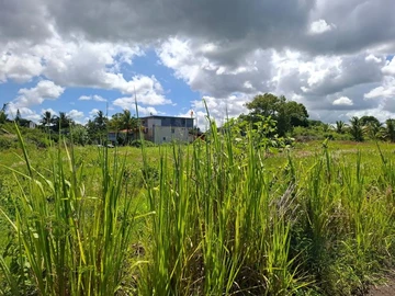Residential Land