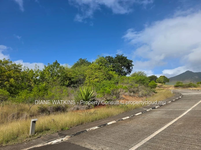 Investissement immobilier au Domaine de Palmyre : Terrain résidentiel de 4 222 m² à vendre.