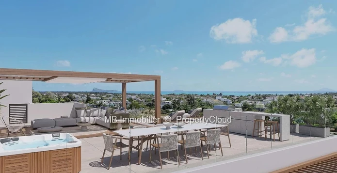 Penthouse for sale.-Project