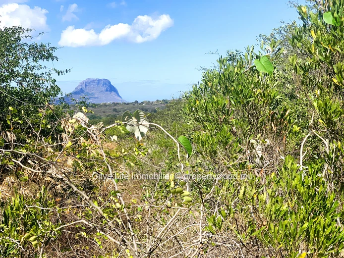 This enchanting plot of land is a piece of paradise waiting to be discovered. 