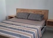Modern Apartments for Rent