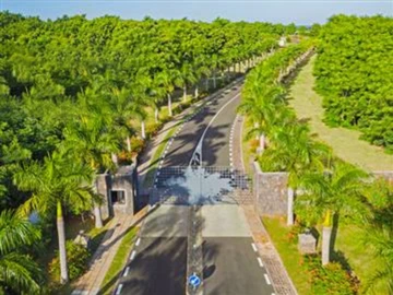 Residential Land