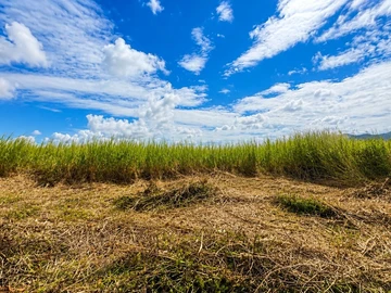 Agricultural Land