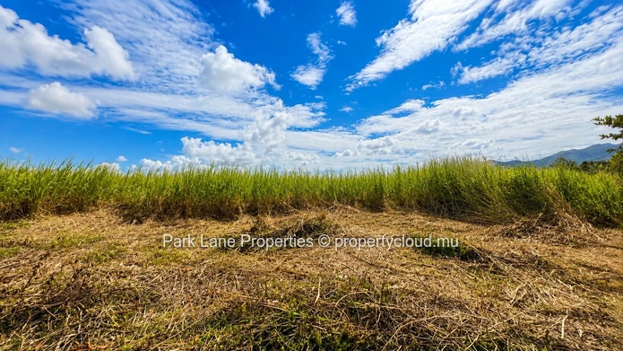Vaste terrain agricole de 15 360 m² à Trianon – Vue panoramique sur la montagne