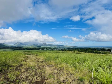 Land