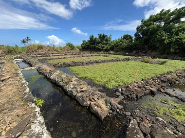 Agricultural Land