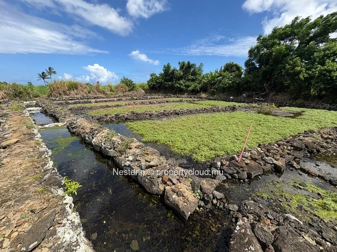 Terrain agricole de 30 perches bien entretenu et bien situé