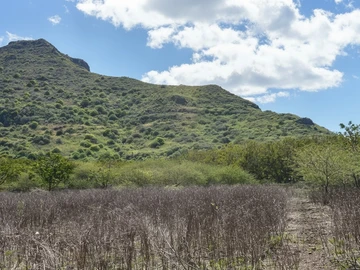 Residential Land