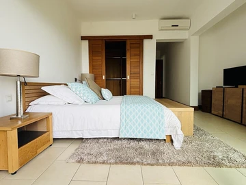 Penthouse de 3 Chambres
