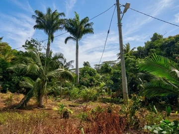 Residential Land