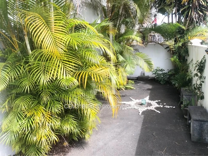 Bright 2 Bedroom House for Rent in Vacoas
