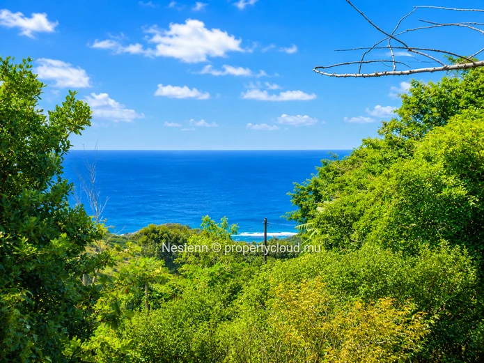  Terrain en pleine propriété de 829 m² avec vue sur mer à Trèfles – Une rare opportunité d'investissement côtier