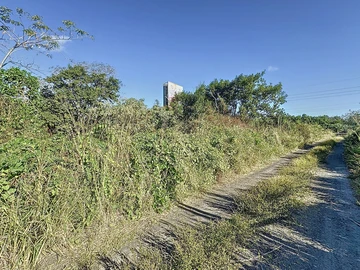 Land