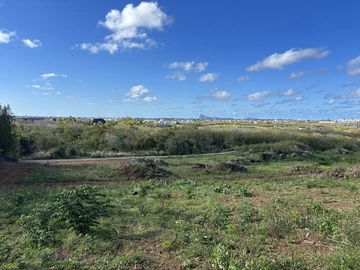 Agricultural Land