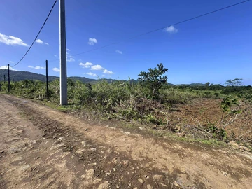 Agricultural Land