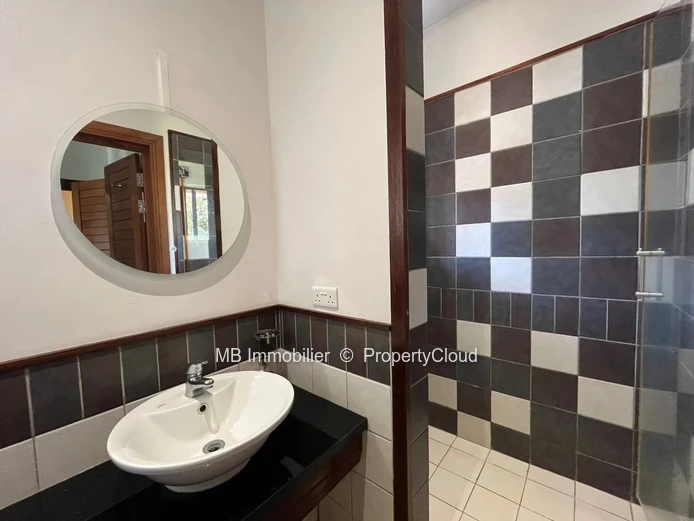 Penthouse for rent