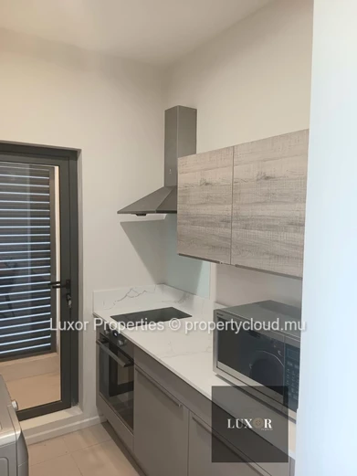 New One-Bedroom Apartment for Rent – Metropole