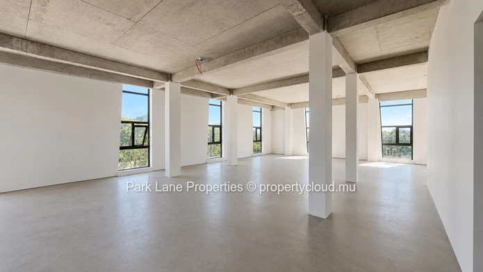 Prime Commercial Space for Rent in the Heart of Tamarin