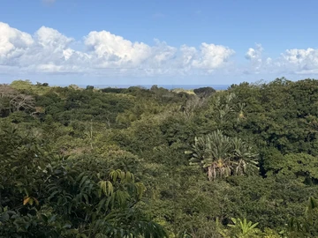 Agricultural Land