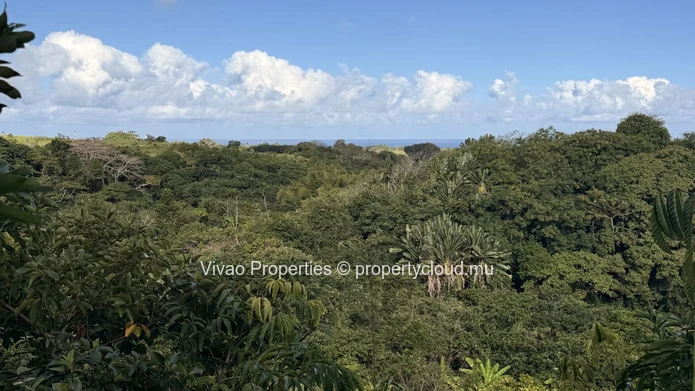 20,466sqm Prime Agricultural Land for Sale in L'Escalier - Rs